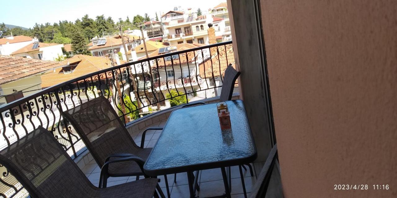 Toula Apartment Litochoro