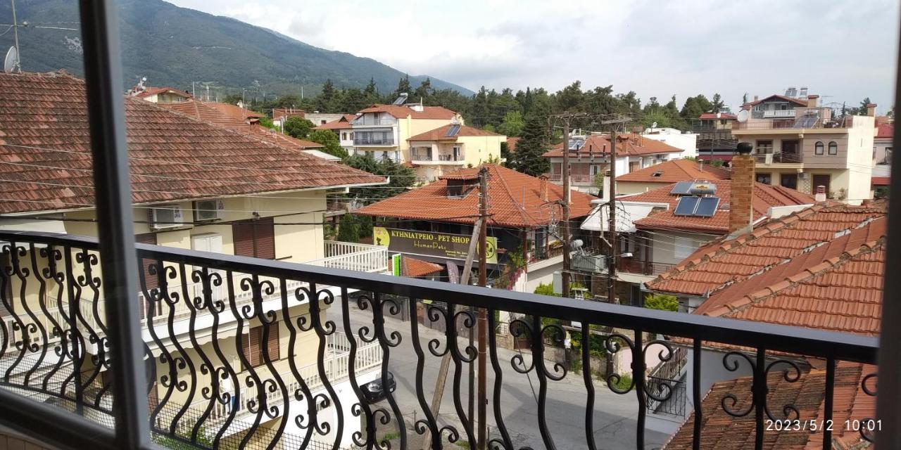 Toula Apartment Litochoro